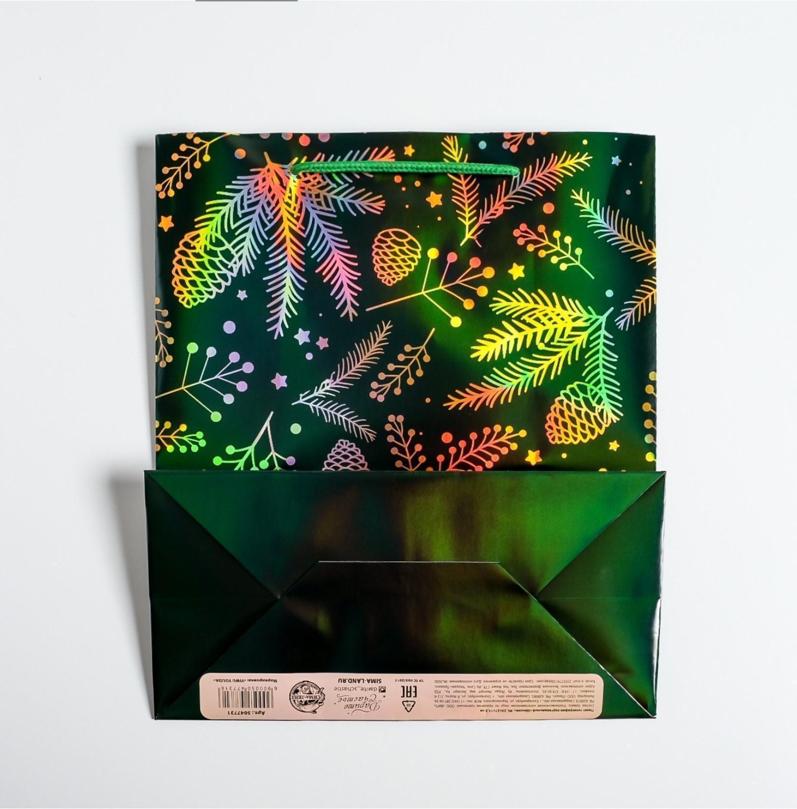 Пакет голография вертикальный «Шишки», ML 23 × 27 × 11,5 см