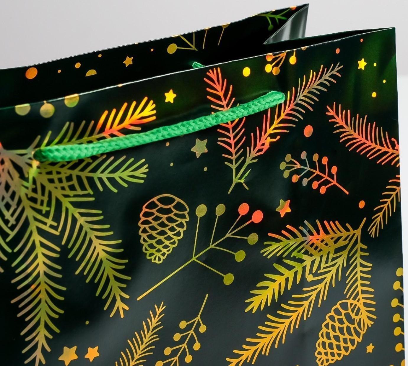 Пакет голография вертикальный «Шишки», ML 23 × 27 × 11,5 см