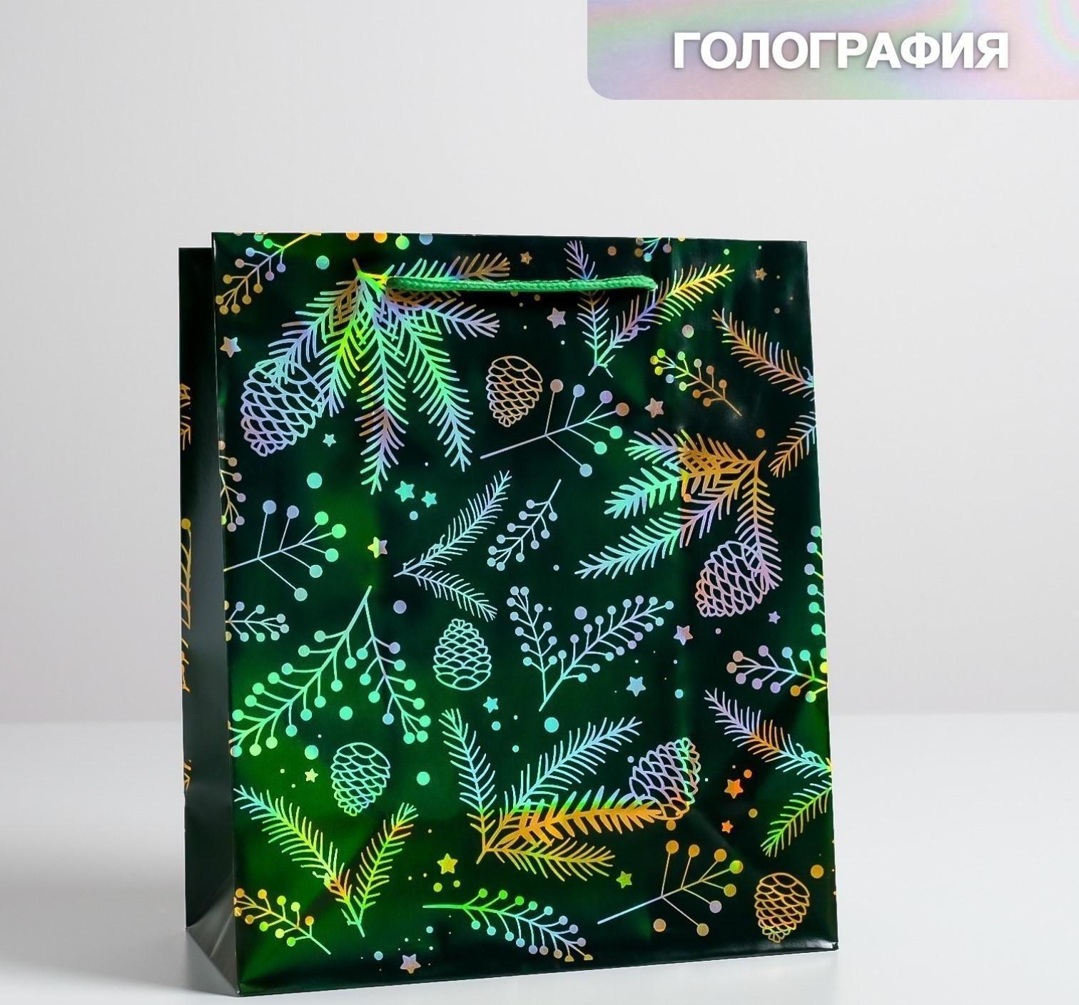 Пакет голография вертикальный «Шишки», ML 23 × 27 × 11,5 см
