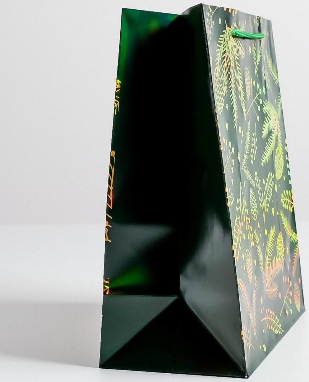 Пакет голография вертикальный «Шишки», ML 23 × 27 × 11,5 см