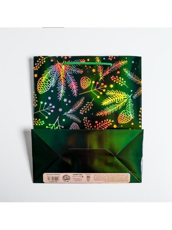 Пакет голография вертикальный «Шишки», ML 23 × 27 × 11,5 см