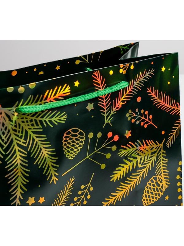 Пакет голография вертикальный «Шишки», ML 23 × 27 × 11,5 см