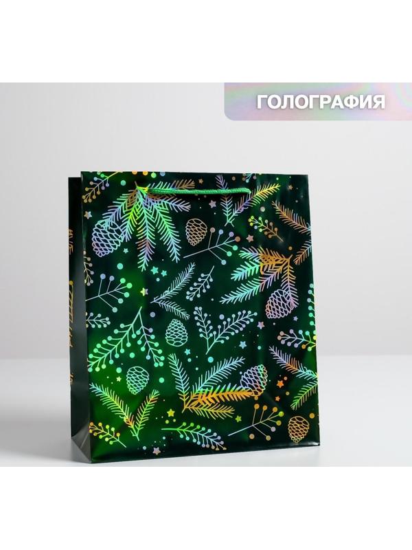 Пакет голография вертикальный «Шишки», ML 23 × 27 × 11,5 см