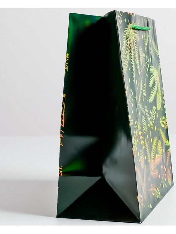 Пакет голография вертикальный «Шишки», ML 23 × 27 × 11,5 см