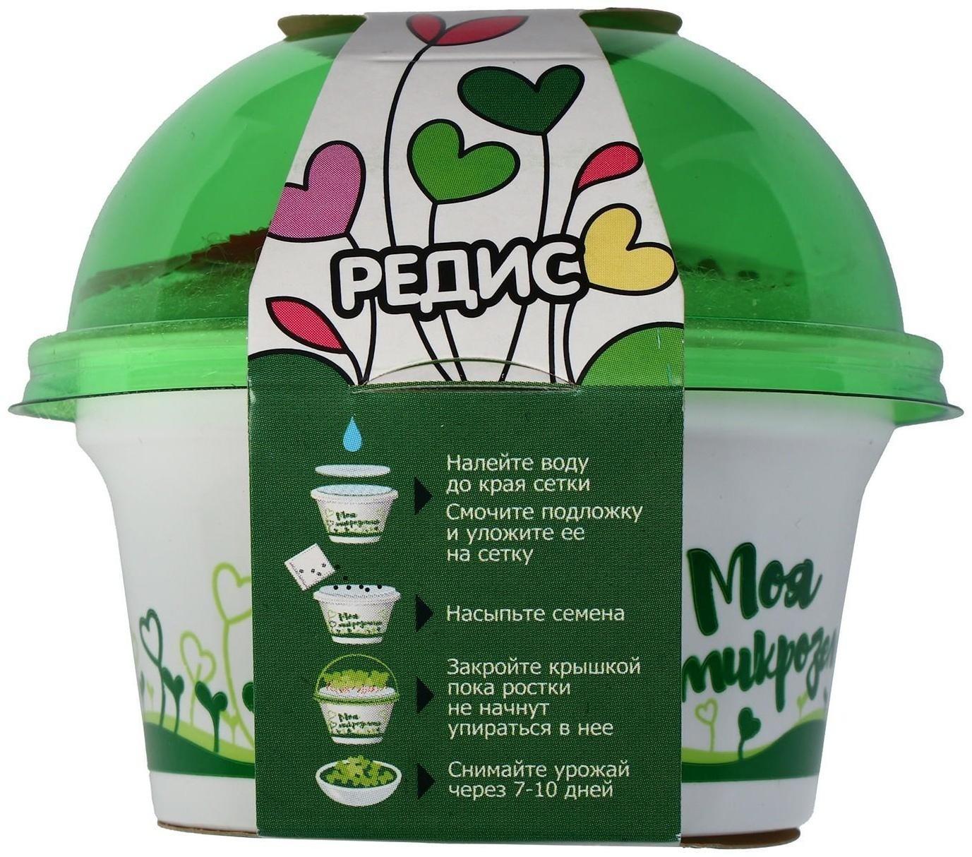 Набор для выращивания «Моя микрозелень», редис