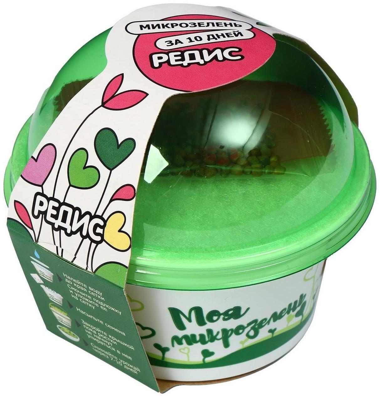 Набор для выращивания «Моя микрозелень», редис