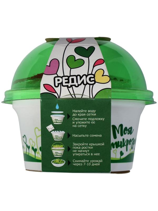 Набор для выращивания «Моя микрозелень», редис