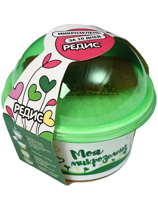 Набор для выращивания «Моя микрозелень», редис