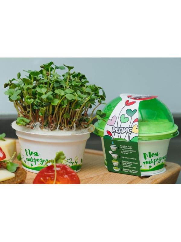 Набор для выращивания «Моя микрозелень», редис