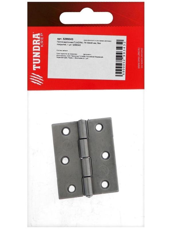 Петля карточная ТУНДРА, 50х40 мм, без покрытия, 1 шт.