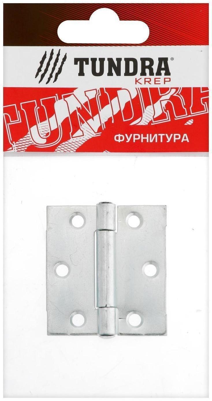 Петля карточная ТУНДРА, 50х45 мм, покрытие цинк 1 шт.