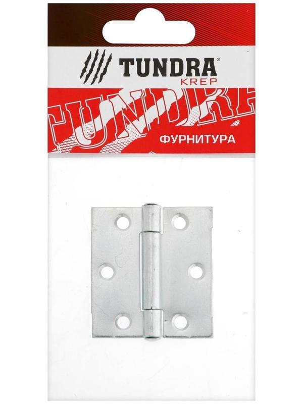 Петля карточная ТУНДРА, 50х45 мм, покрытие цинк 1 шт.