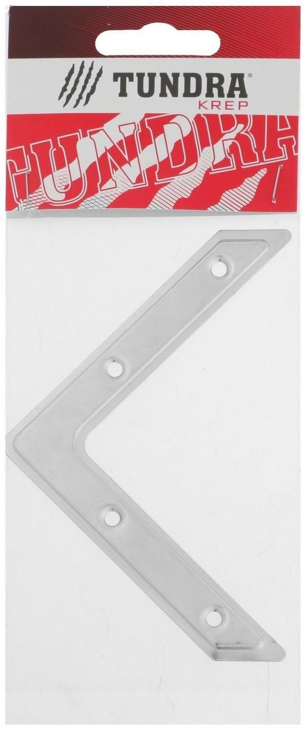 Угольник ТУНДРА krep, УГ-100, оцинкованный, в упаковке 1 шт.