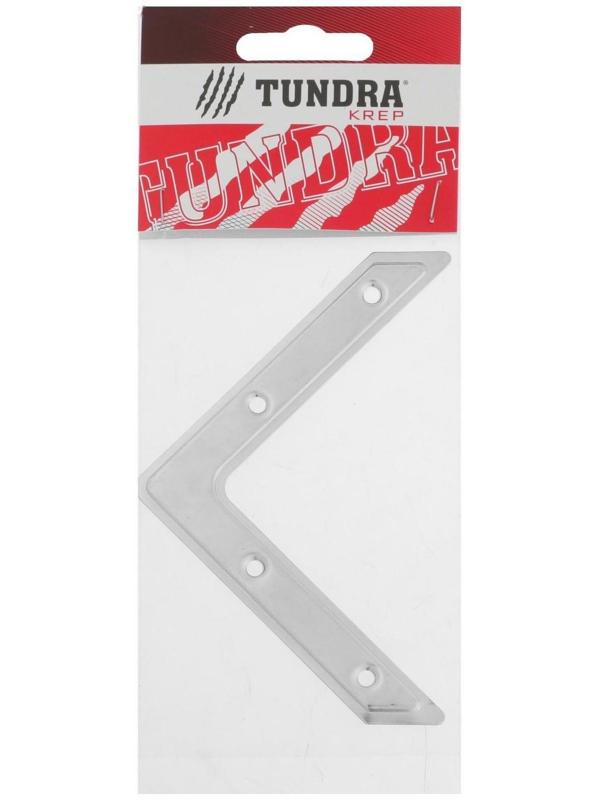 Угольник ТУНДРА krep, УГ-100, оцинкованный, в упаковке 1 шт.