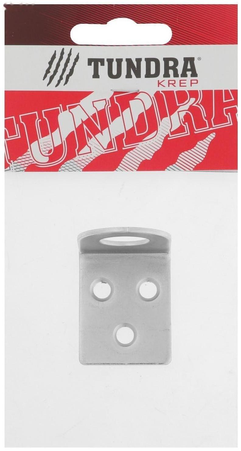 Пробой-ушко ТУНДРА krep, гнутое, 30х70 мм, цинк, в упаковке 1 шт.