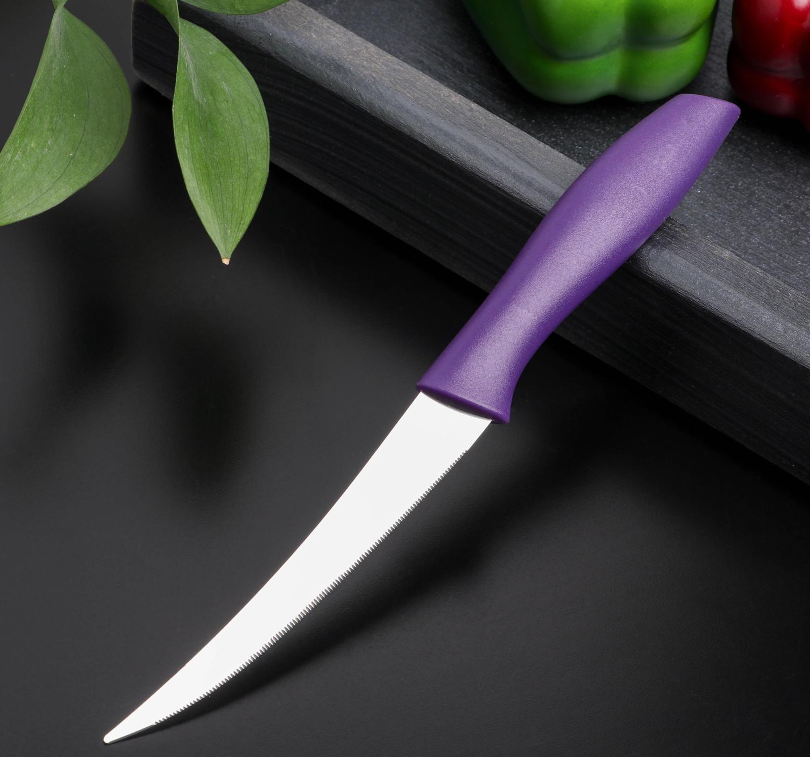 Нож кухонный для цитрусовых «Ария», лезвие 12 см, цвет МИКС