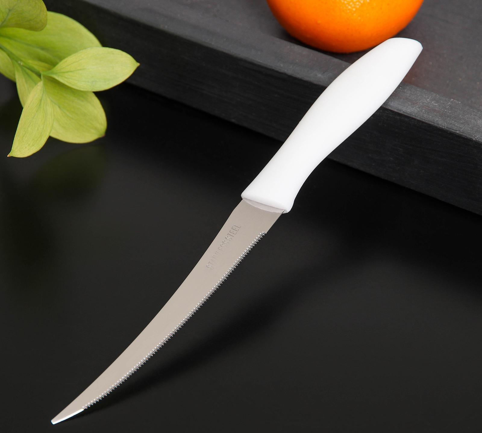 Нож кухонный для цитрусовых «Ария», лезвие 12 см, цвет МИКС