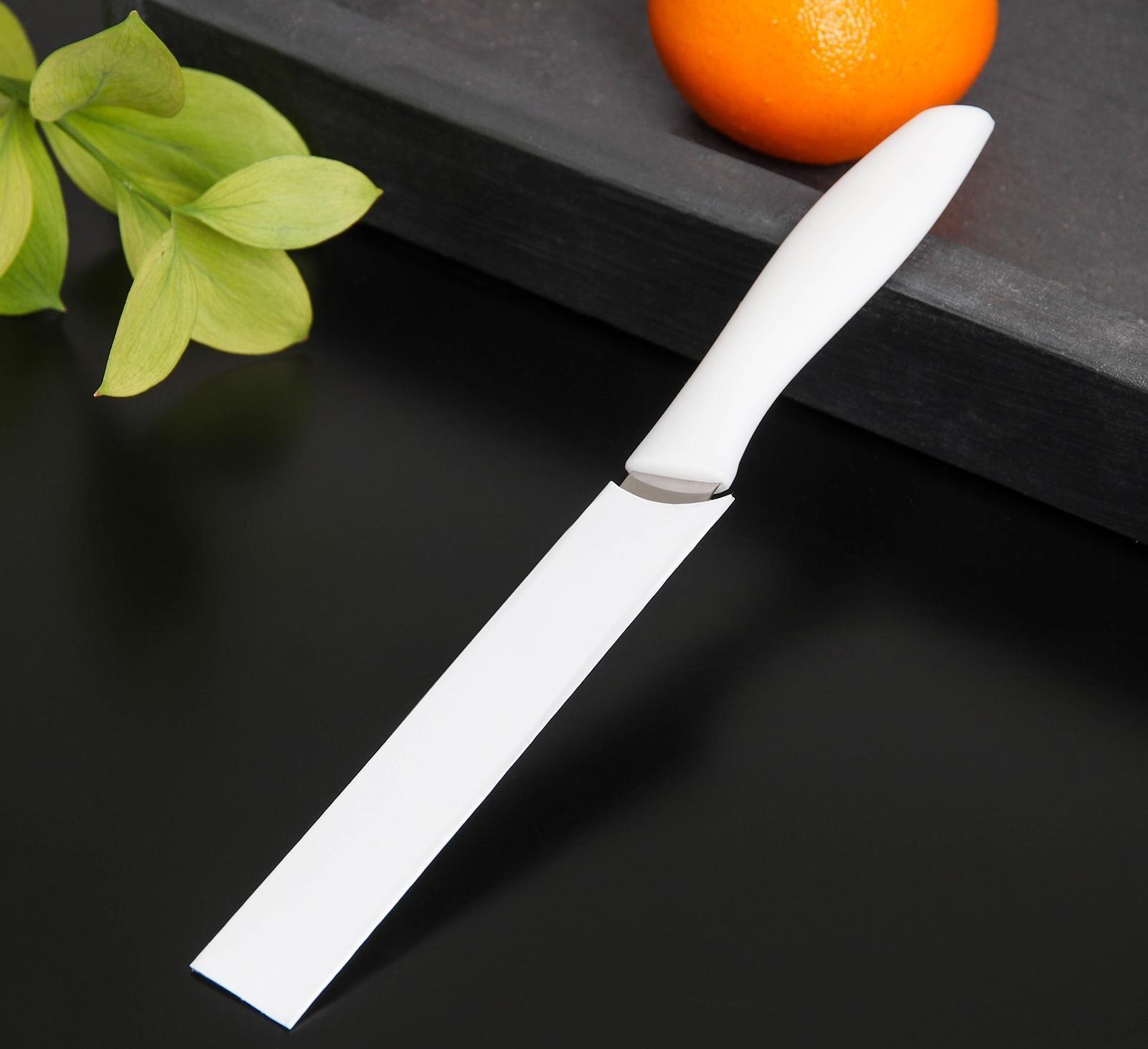 Нож кухонный для цитрусовых «Ария», лезвие 12 см, цвет МИКС