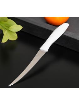 Нож кухонный для цитрусовых «Ария», лезвие 12 см, цвет МИКС