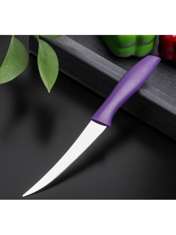 Нож кухонный для цитрусовых «Ария», лезвие 12 см, цвет МИКС