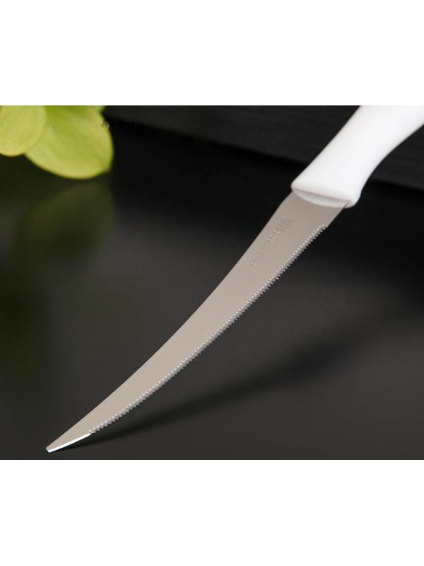 Нож кухонный для цитрусовых «Ария», лезвие 12 см, цвет МИКС