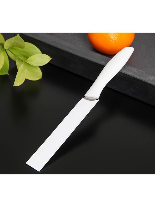 Нож кухонный для цитрусовых «Ария», лезвие 12 см, цвет МИКС