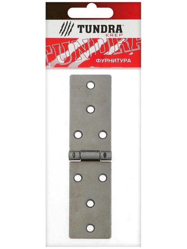 Петля карточная ТУНДРА, 140х34 мм, без покрытия, 1 шт.