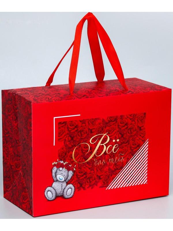 Пакет-коробка 