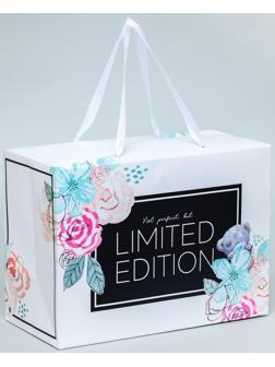 Пакет-коробка 