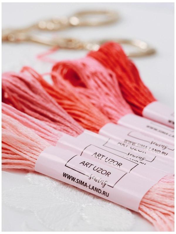 Набор ниток мулине, 8 ± 1 м, 7 шт, цвет розовый спектр