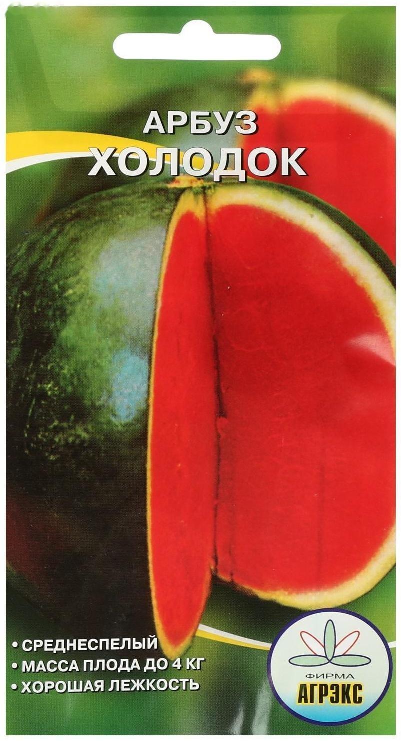 Семена Арбуз Холодок 10 шт
