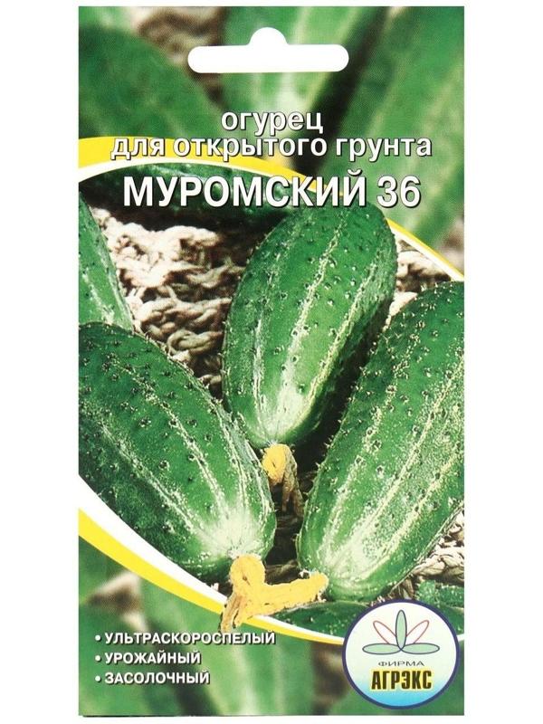 Семена Огурец Муромский 36 10 шт