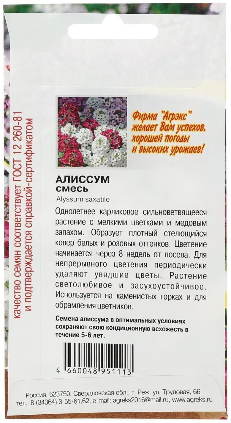 Семена цветов однолетние Алиссум смесь 0,1