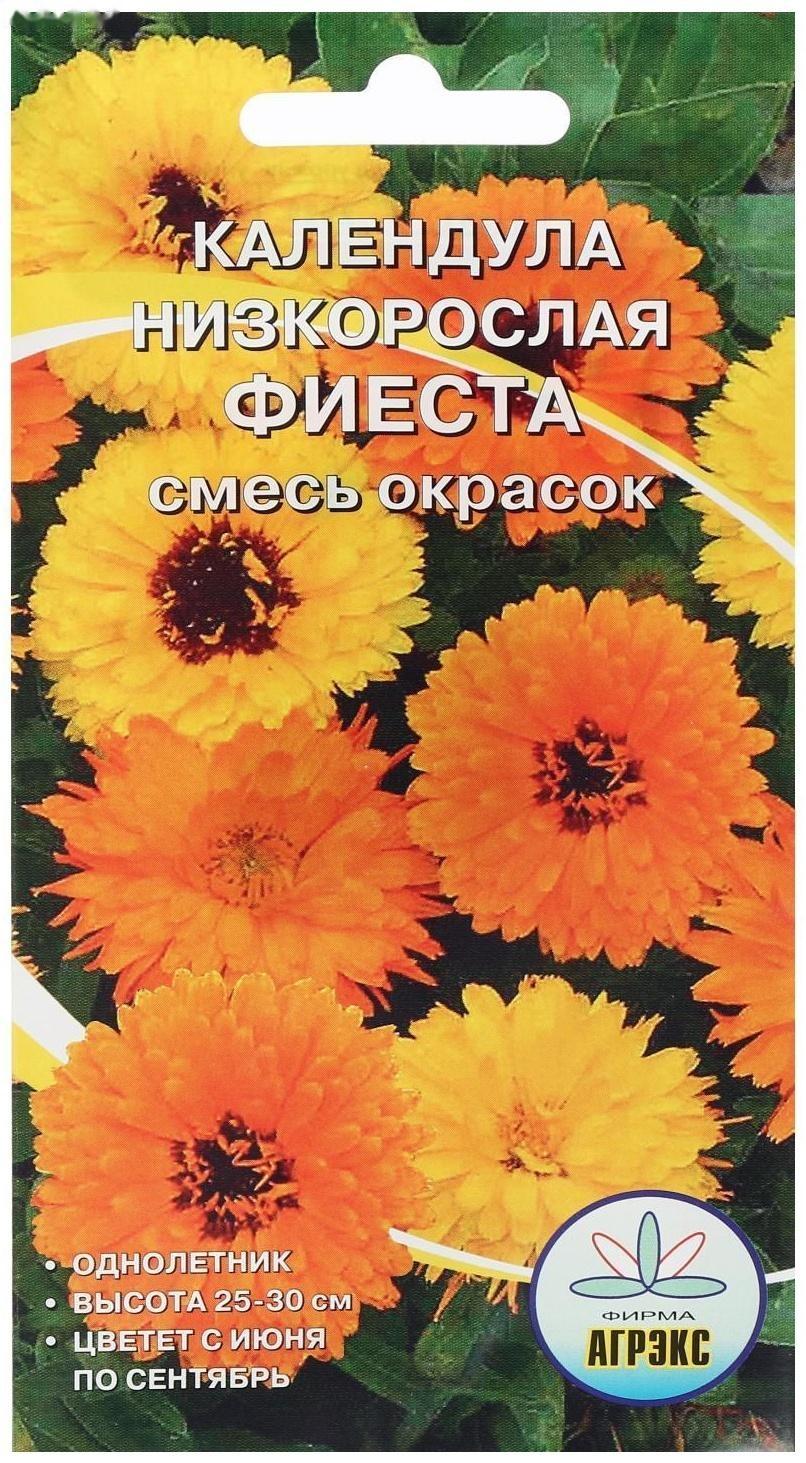 Семена цветов однолетние Календула низкорослая Фиеста смесь 0,2