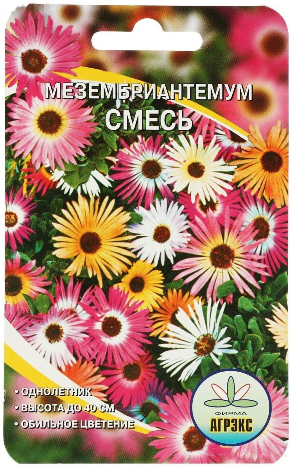 Семена цветов Мезембриантемум, 