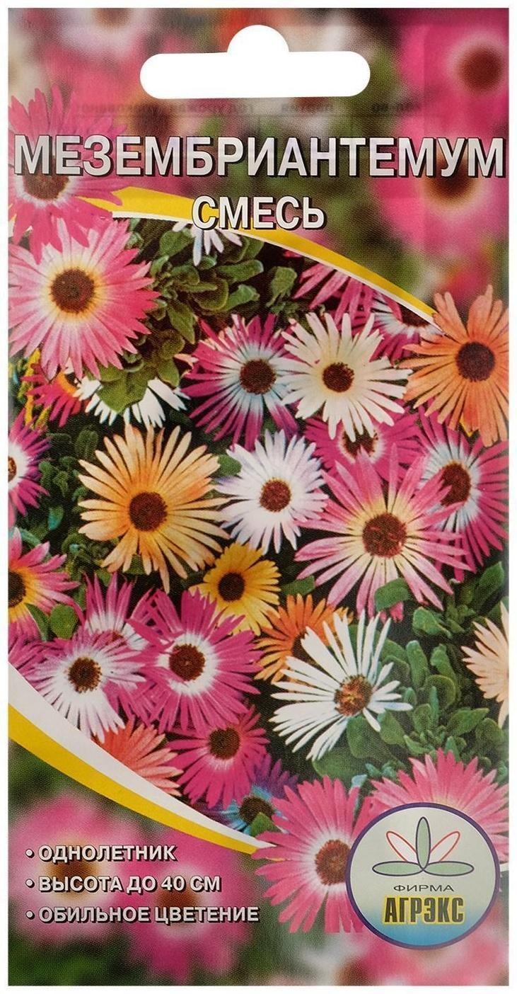 Семена цветов Мезембриантемум, 