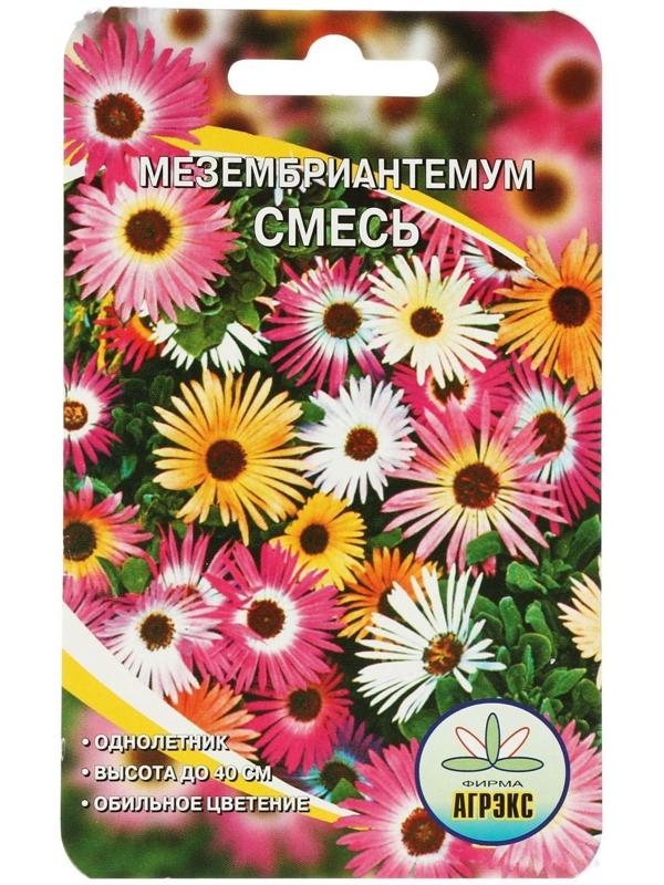 Семена цветов Мезембриантемум, 