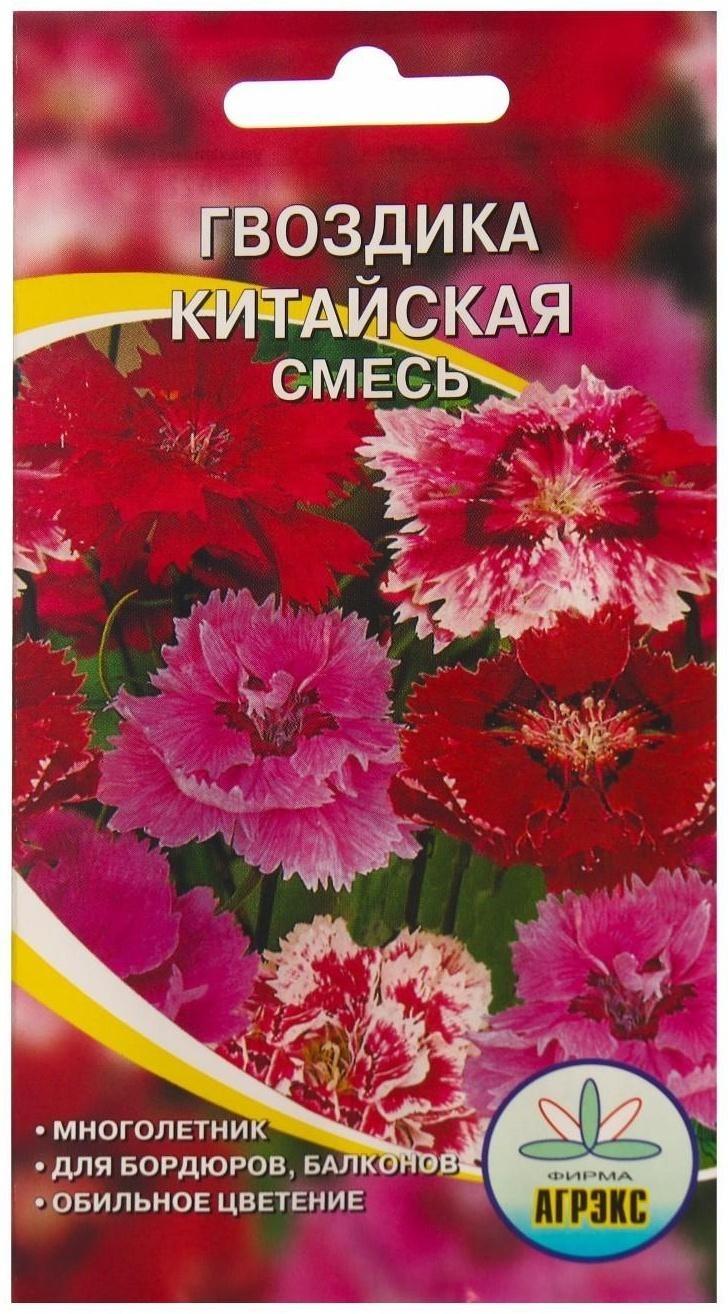 Семена цветов Гвоздика 