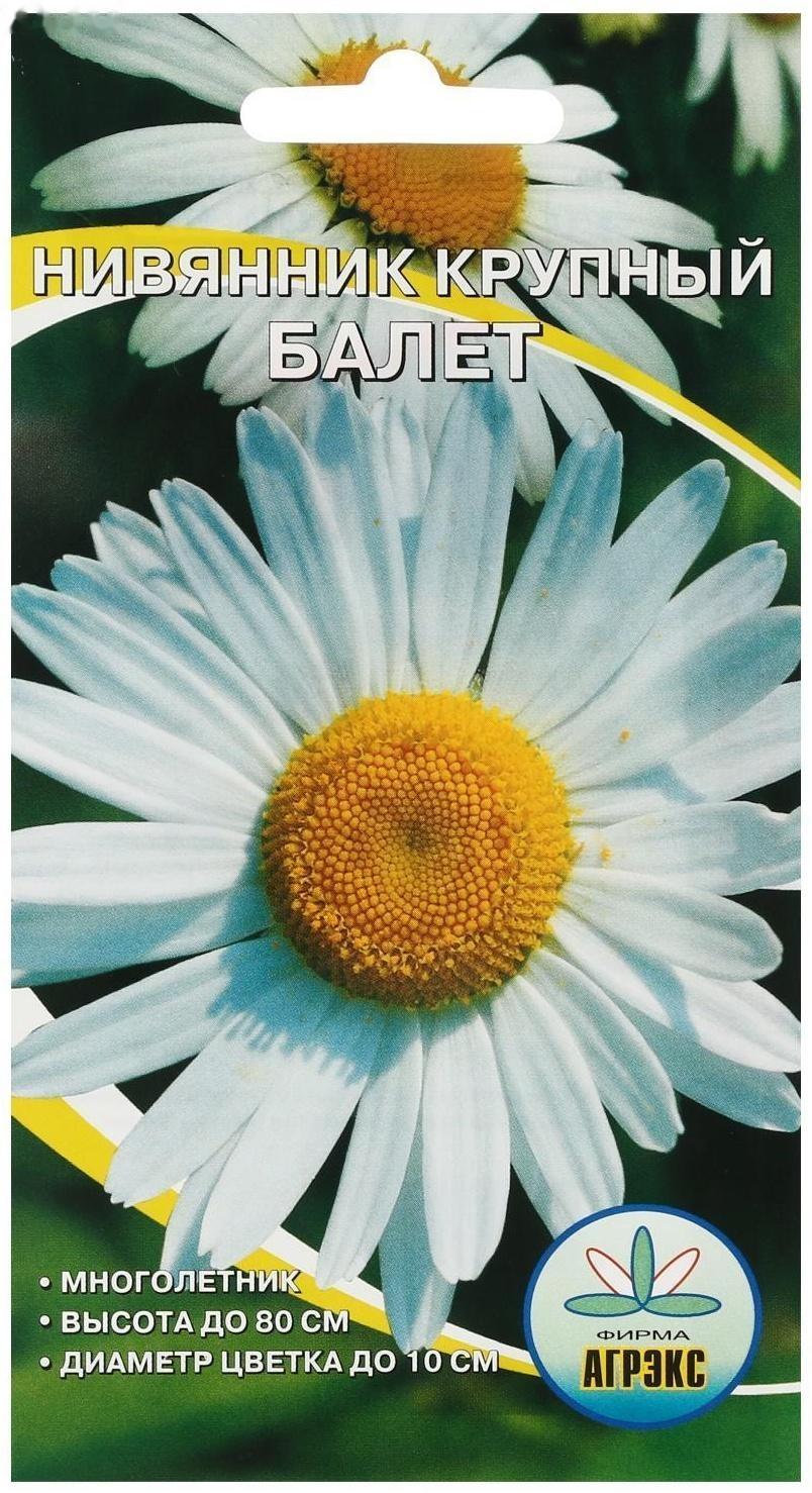 Семена цветов Нивянник, многолетний, белый 0,1 г