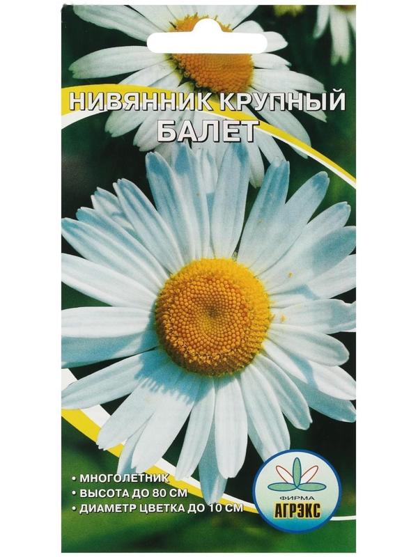 Семена цветов Нивянник, многолетний, белый 0,1 г