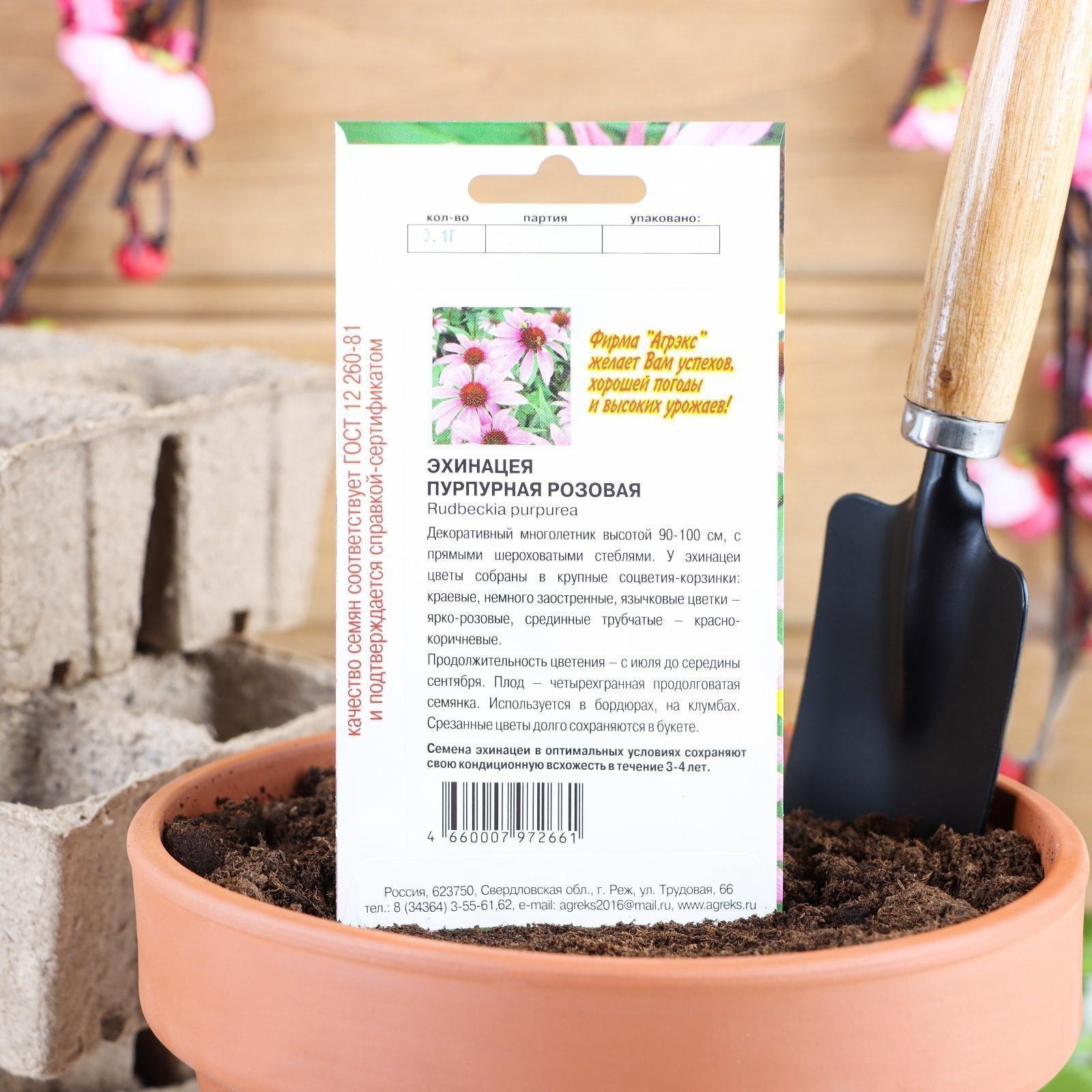 Семена цветов Эхинацея 