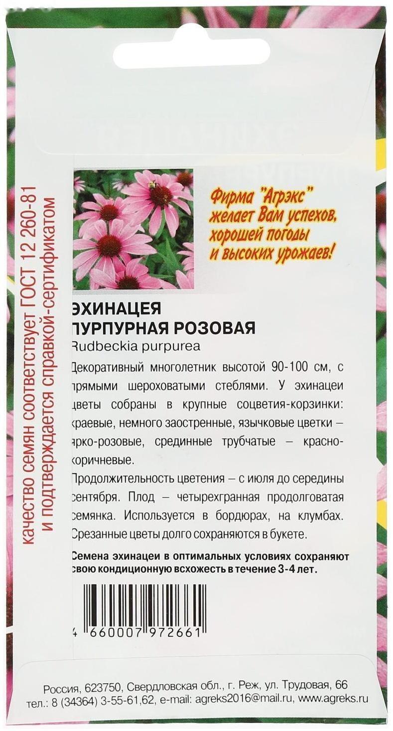 Семена цветов Эхинацея 