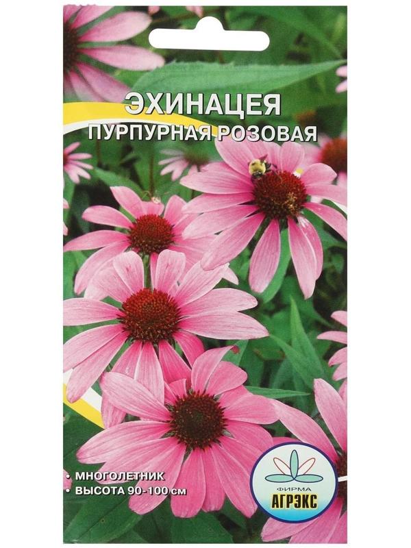 Семена цветов Эхинацея 