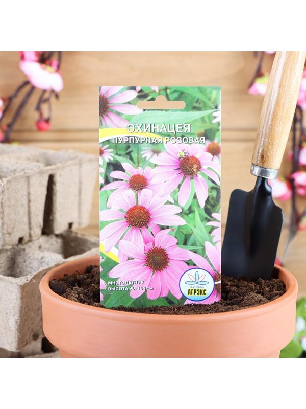 Семена цветов Эхинацея 