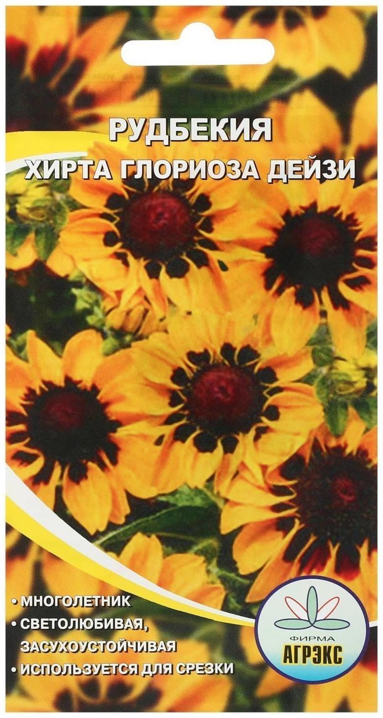 Семена цветов Рудбекия 
