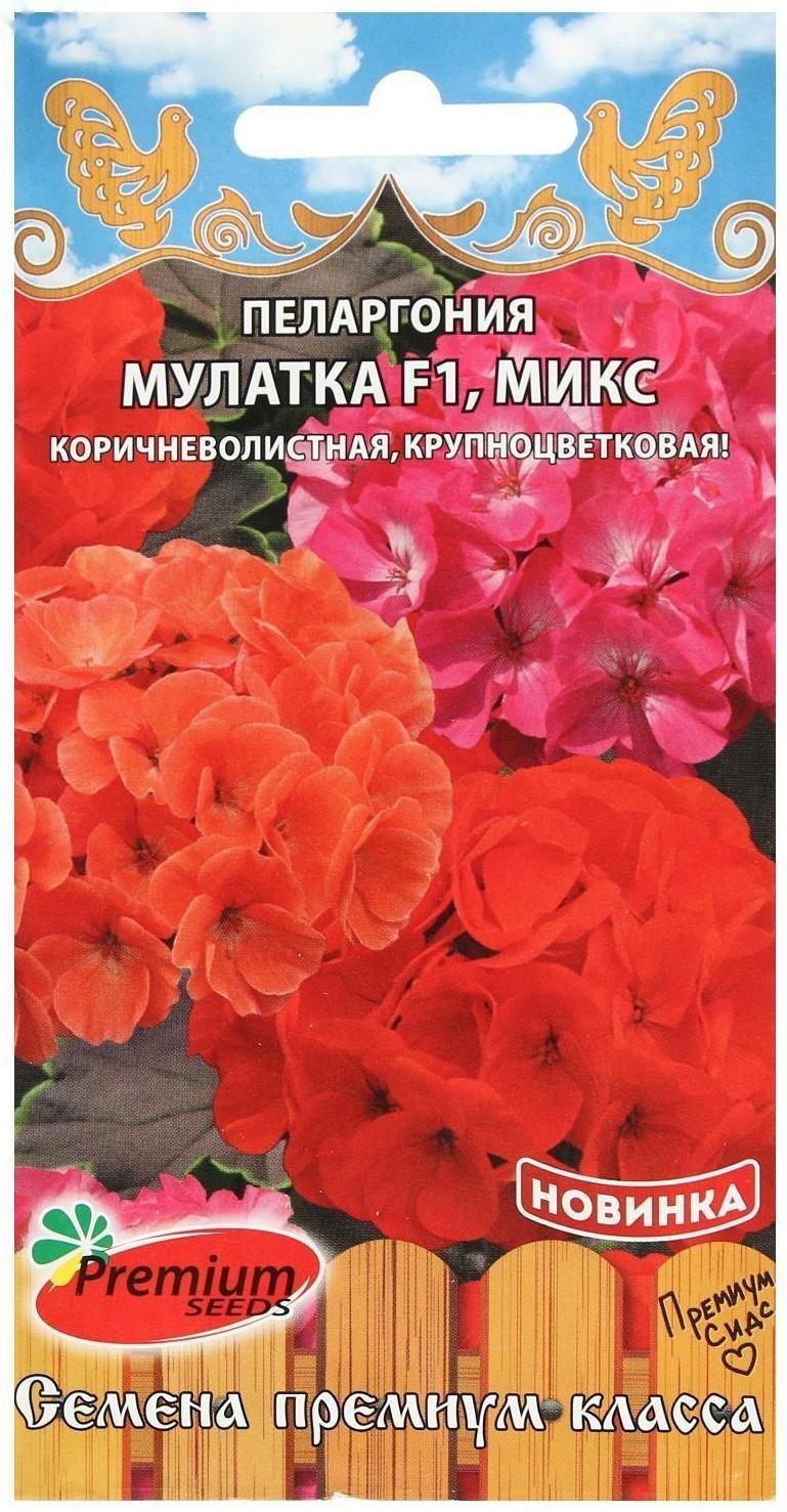Семена цветов Пеларгония 
