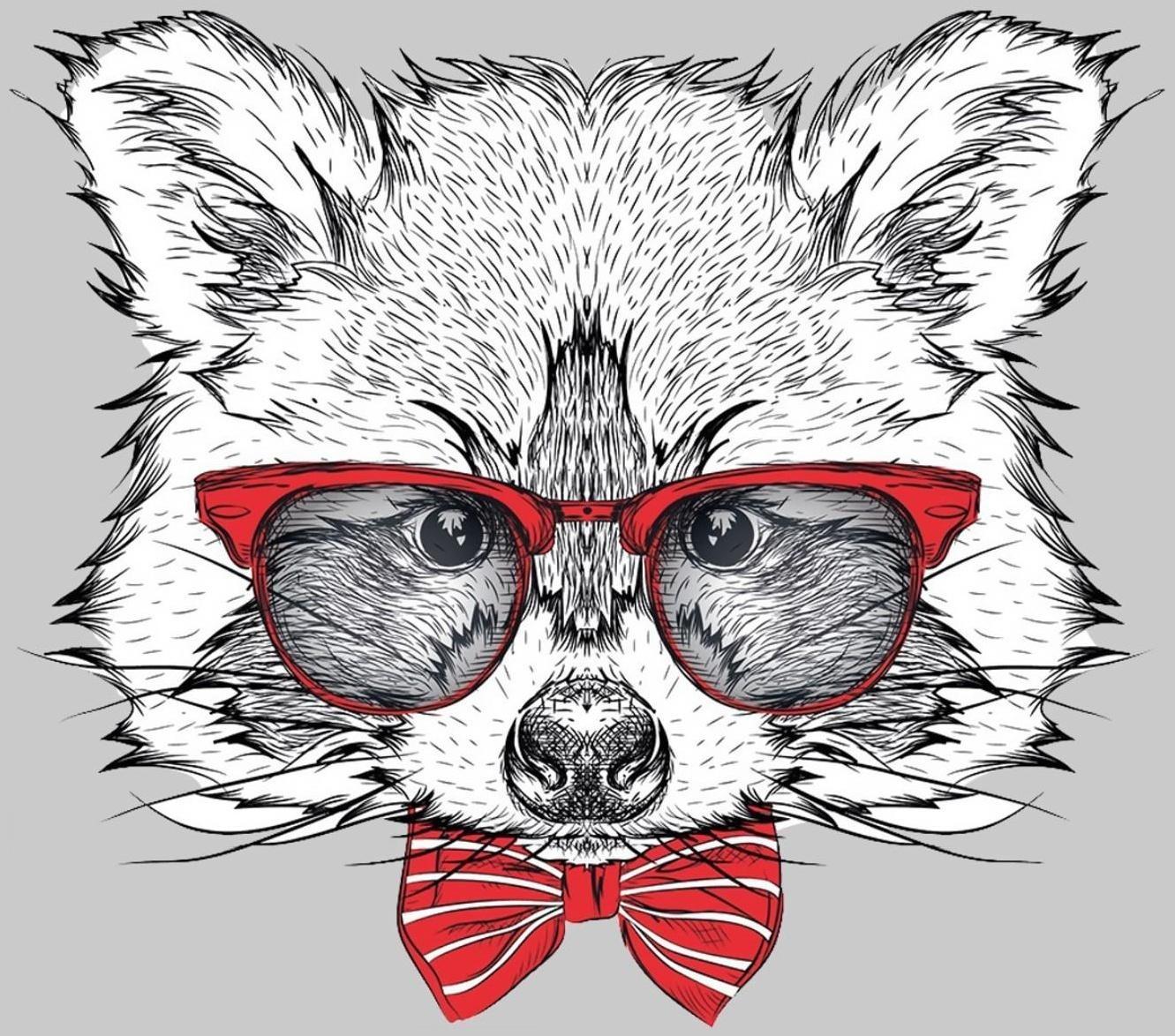 Термотрансфер «Енот в очках», 16,5 × 19 см