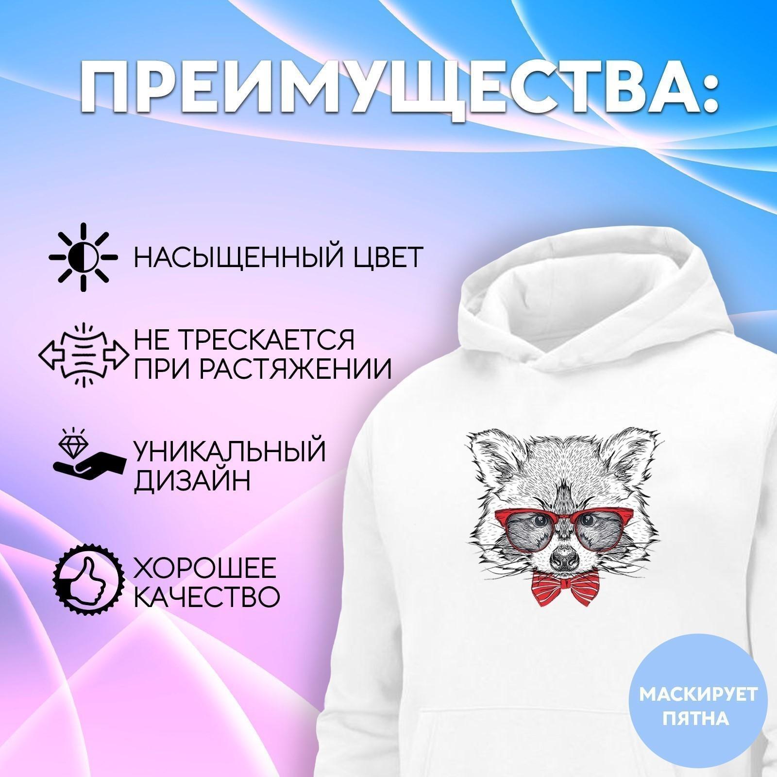 Термотрансфер «Енот в очках», 16,5 × 19 см