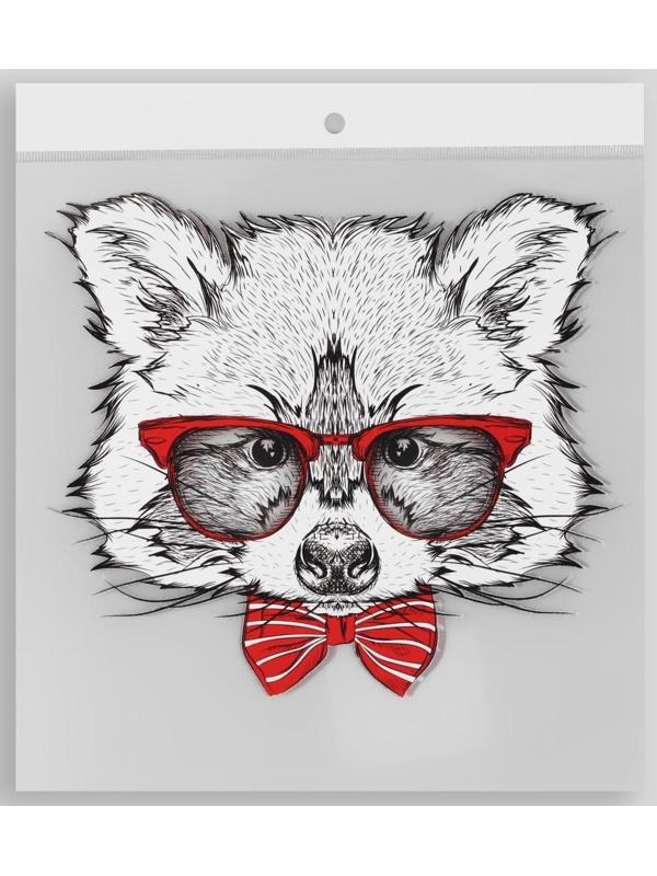 Термотрансфер «Енот в очках», 16,5 × 19 см