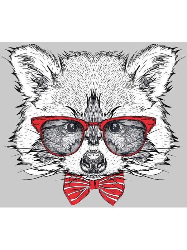 Термотрансфер «Енот в очках», 16,5 × 19 см